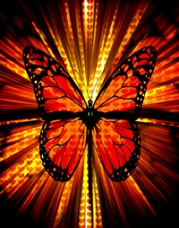 Picture for Create an inspired Plan to transform your business package